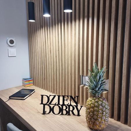 Apartament Lux Lemon Jelenia Góra Kültér fotó