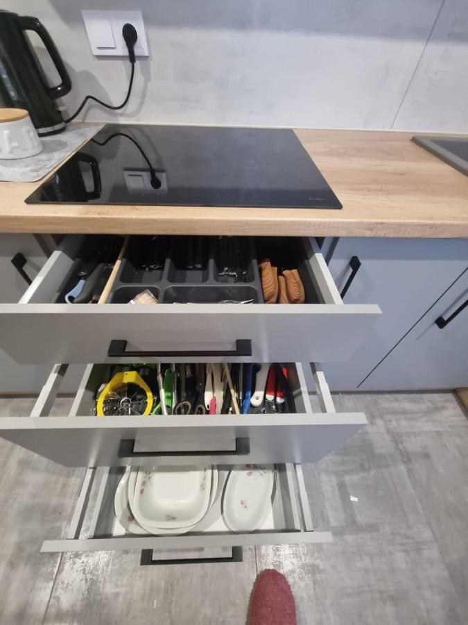 Apartament Lux Lemon Jelenia Góra Kültér fotó