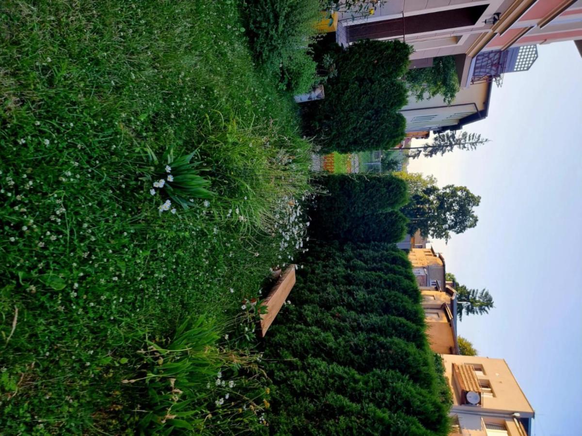 Apartament Lux Lemon Jelenia Góra Kültér fotó