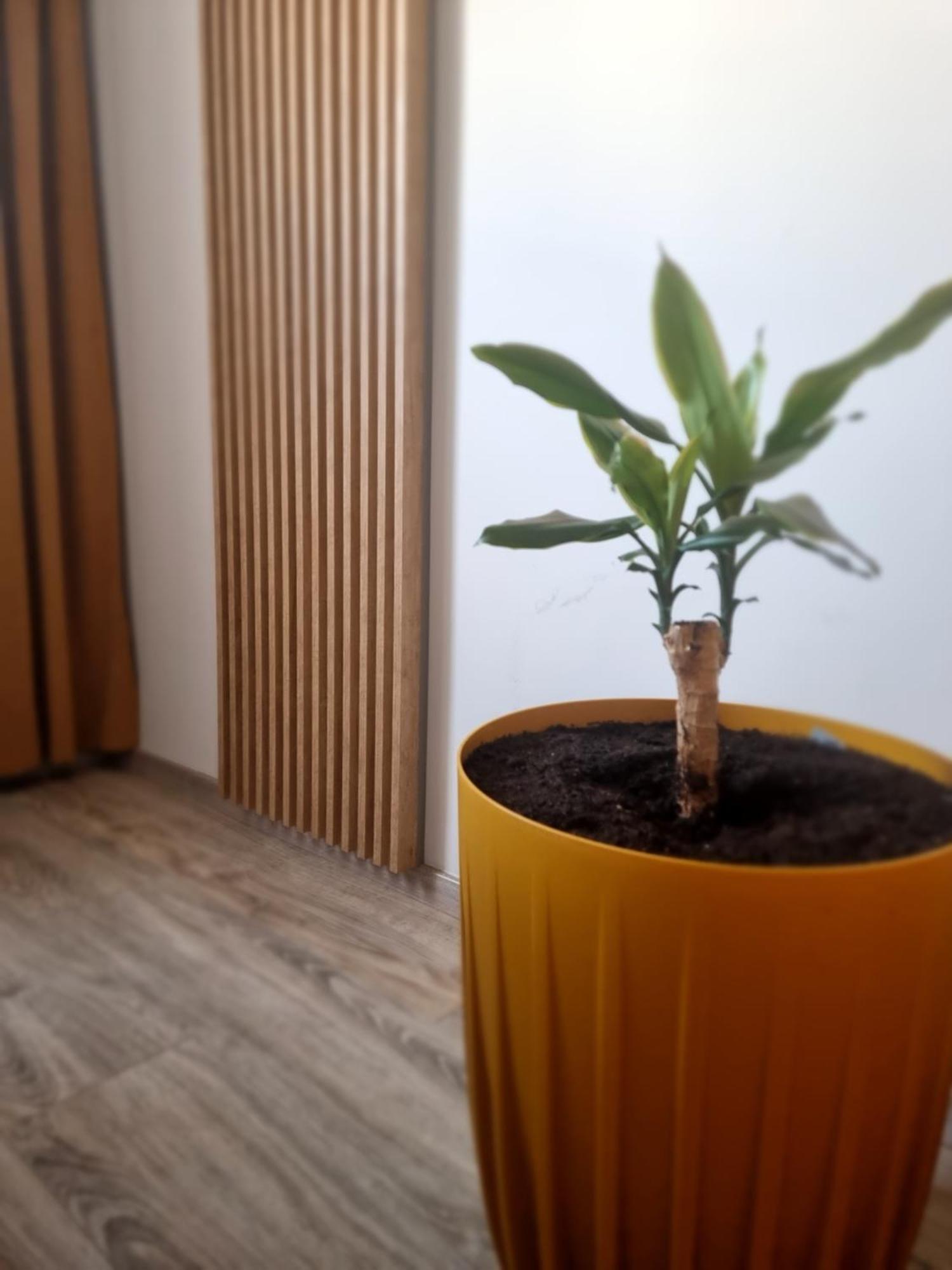 Apartament Lux Lemon Jelenia Góra Kültér fotó